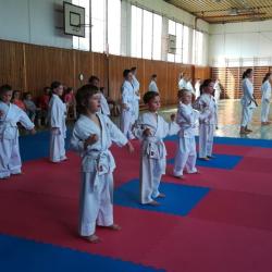 2018.06 Skusky karate deti 6 2018