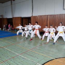 Vyhodnotenie 2017_2018 (40).jpg