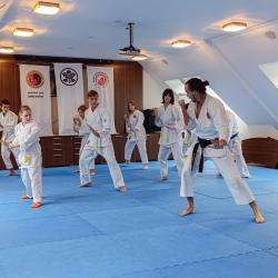 2024 Seminar Sipox Strba